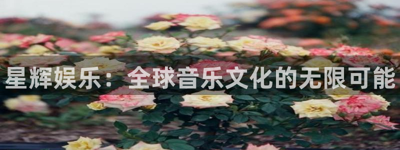 宁波豪门国际水会：星辉娱乐：全球音乐文化的无限可能
