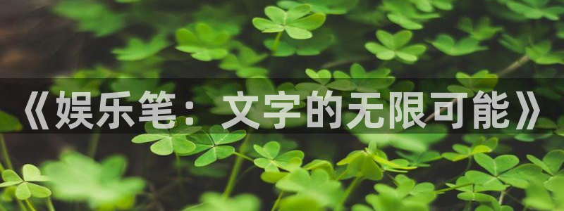 萍乡豪门国际大酒店：《娱乐笔：文字的无限可能》