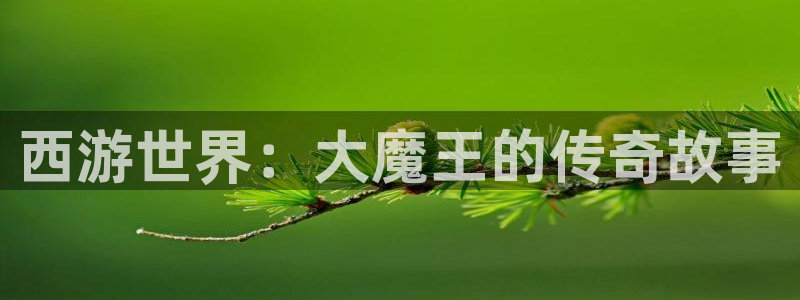 豪门国际：西游世界：大魔王的传奇故事
