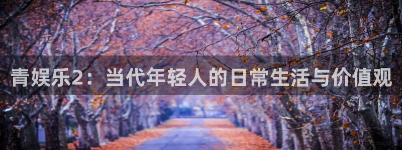 豪门国际链接：青娱乐2：当代年轻人的日常生活与价值观