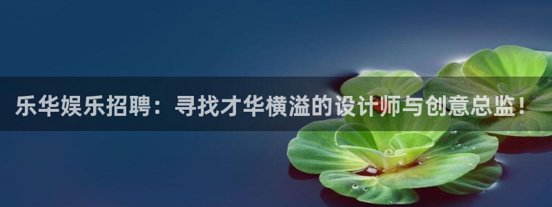 豪门国际所有网站：乐华娱乐招聘：寻找才华横溢的设计师与创意总监！