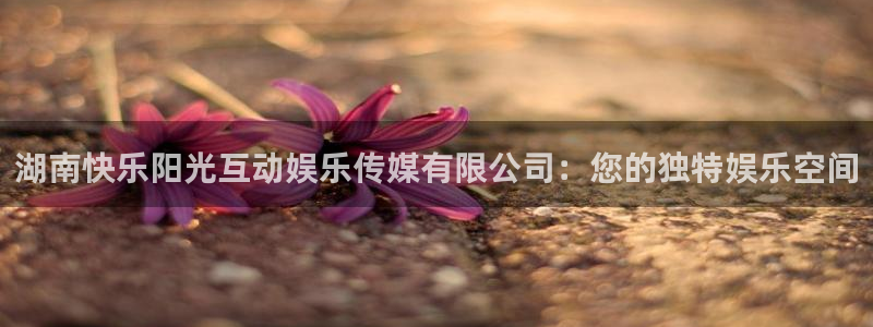 豪门国际所有网站：湖南快乐阳光互动娱乐传媒有限公司：您的独特娱乐空间