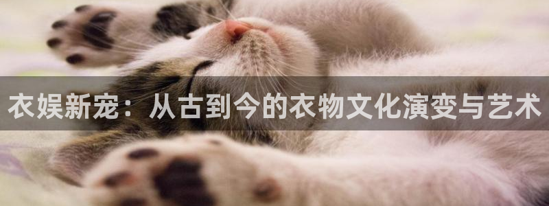 萍乡豪门国际大酒店：衣娱新宠：从古到今的衣物文化演变与艺术