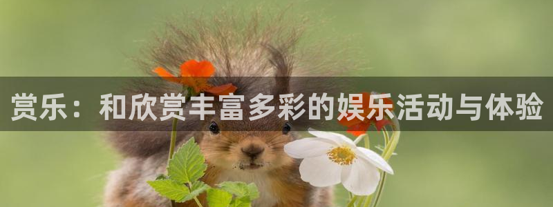 豪门国际下载：赏乐：和欣赏丰富多彩的娱乐活动与体验