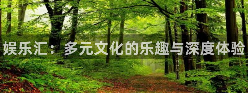 豪门国际86687：娱乐汇：多元文化的乐趣与深度体验
