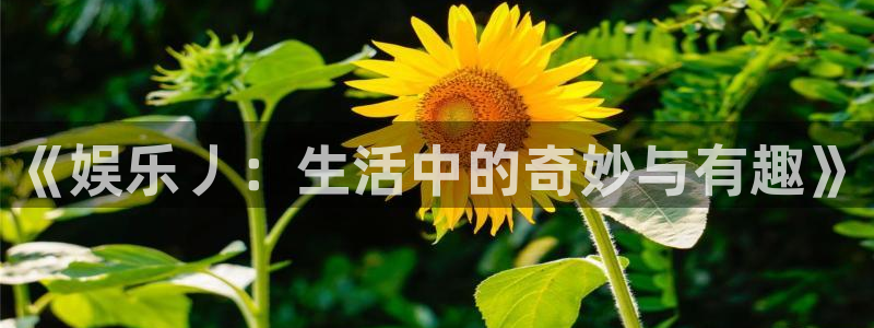 豪门国际86687：《娱乐丿：生活中的奇妙与有趣》