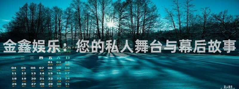 豪门国际酒店：金鑫娱乐：您的私人舞台与幕后故事
