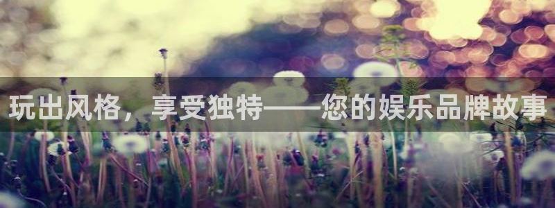 豪门国际官网：玩出风格，享受独特——您的娱乐品牌故事