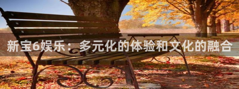 豪门国际俱乐部：新宝6娱乐：多元化的体验和文化的融合