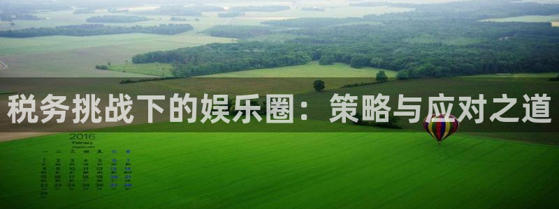 豪门国际怎么玩：税务挑战下的娱乐圈：策略与应对之道